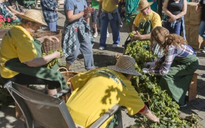 Mezigenerační spolupráce jako příležitost pro nové dobrovolníky
