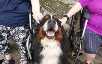 Dobrovolníci pro seniory i senioři v roli dobrovolníků – portál ProPrarodice.cz