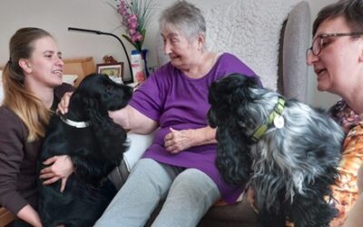 Dobrovolnictví v Domově pro seniory v Klášterci nad Ohří